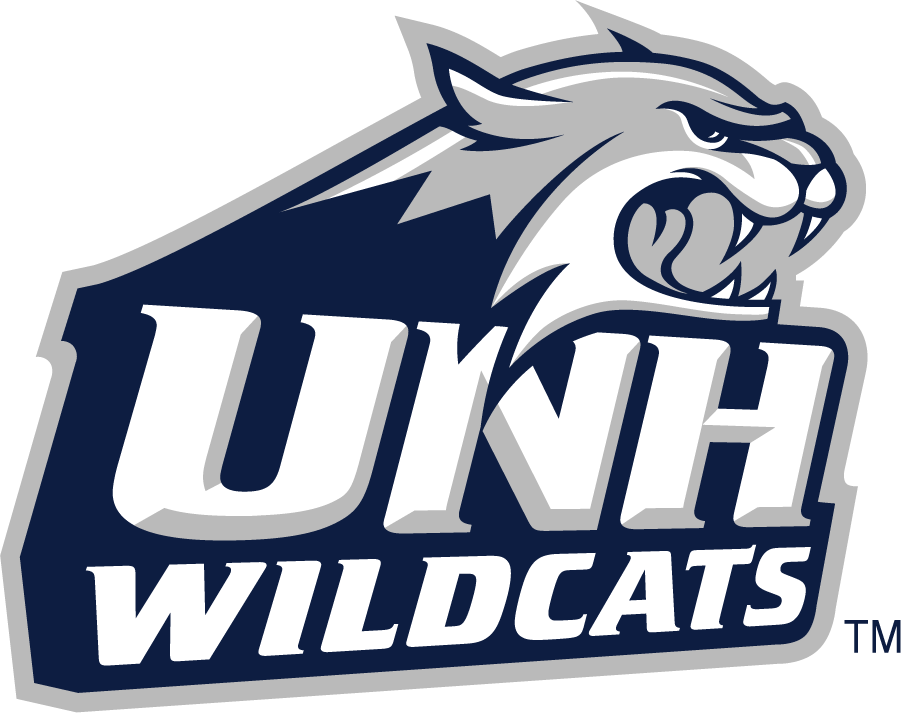 New Hampshire Wildcats 2000-Pres Secondary Logo v2 iron on transfers for clothing
